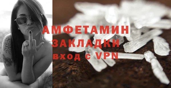 шишки Осинники