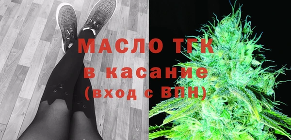 индика Великий Новгород