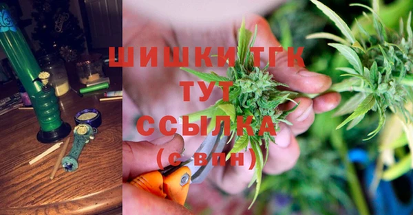 меф Пересвет