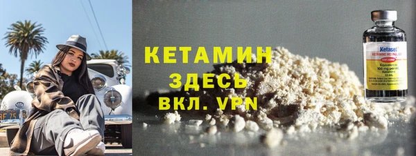 шишки Осинники