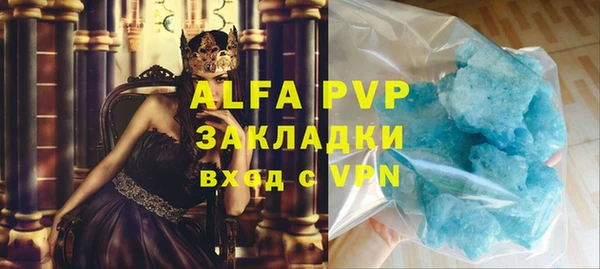 шишки Осинники