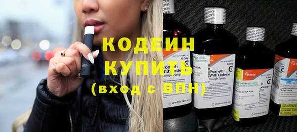 шишки Осинники