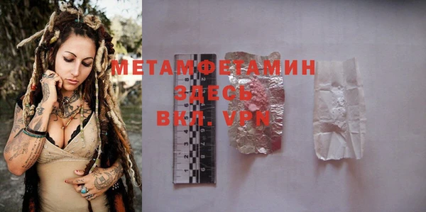шишки Осинники