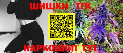 apvp Гатчина