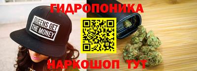 apvp Гатчина