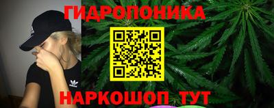apvp Гатчина