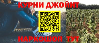 apvp Гатчина