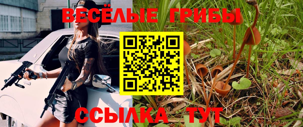 Псилоцибиновые грибы Cubensis Усолье-Сибирское