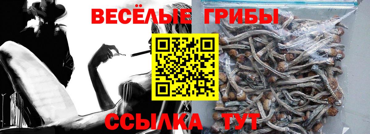 Галлюциногенные грибы Cubensis  Вход с VPN  Усолье-Сибирское  Псилоцибиновые грибы Magic Shrooms 